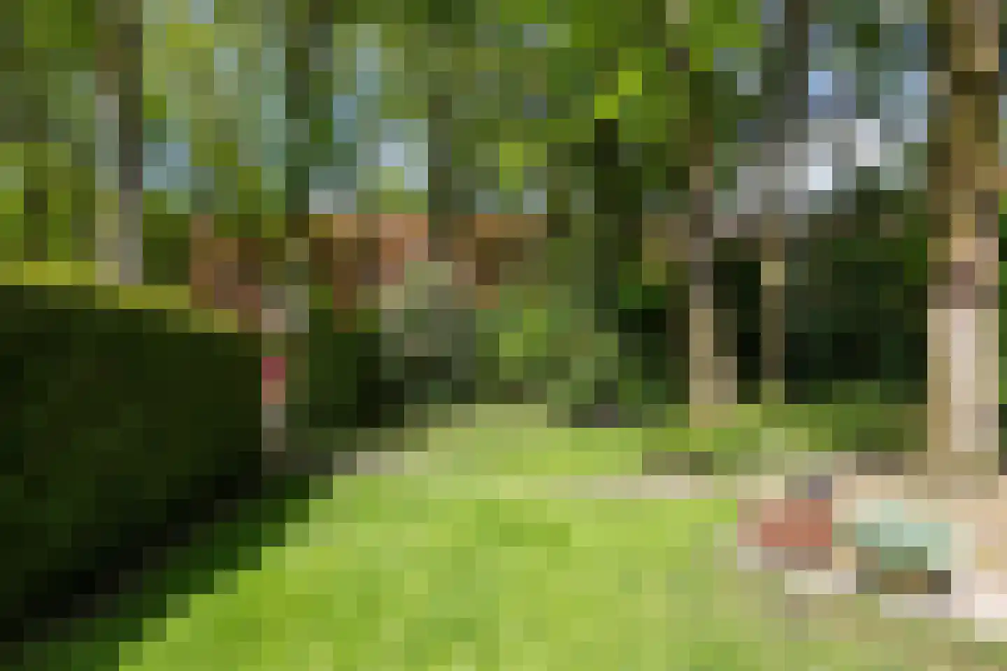 Vossepad 13 Emmen thumbnail 49