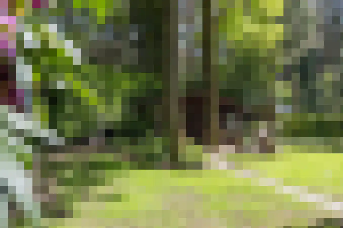 Vossepad 13 Emmen thumbnail 50