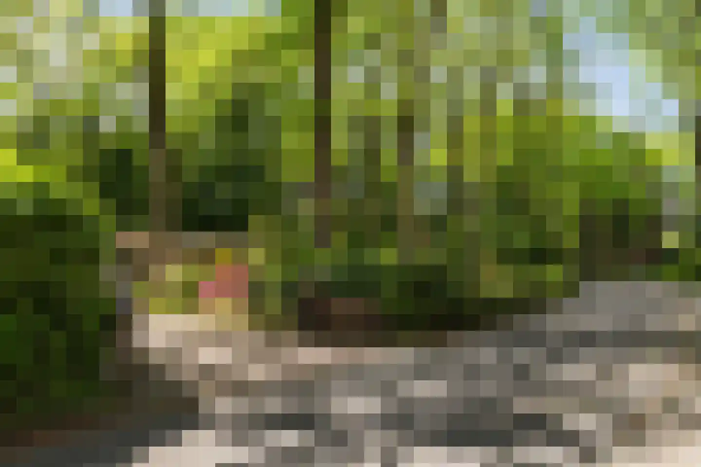 Vossepad 13 Emmen thumbnail 51