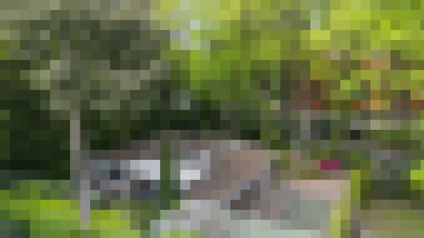 Vossepad 13 Emmen thumbnail 52