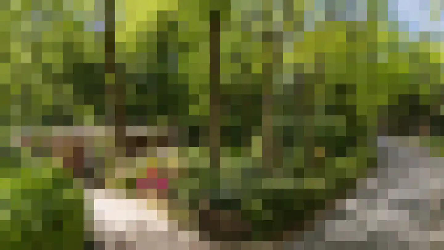 Vossepad 13 Emmen thumbnail 53