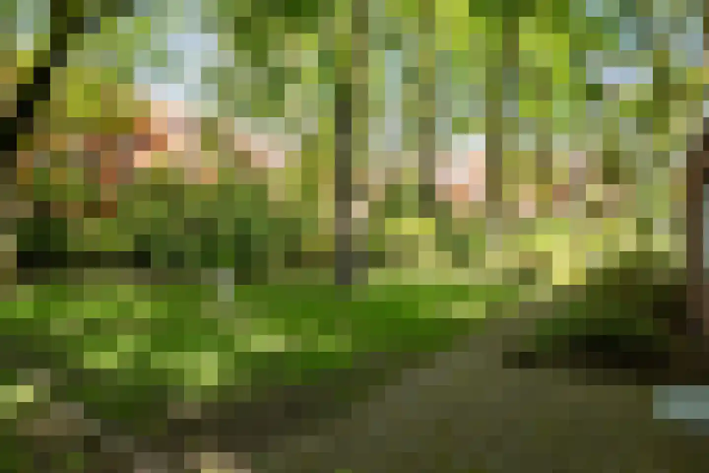 Vossepad 13 Emmen thumbnail 55