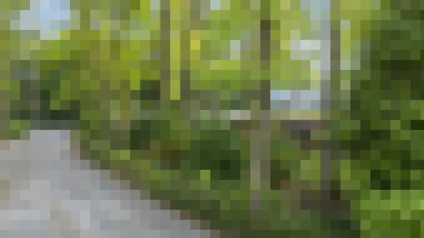 Vossepad 13 Emmen thumbnail 57