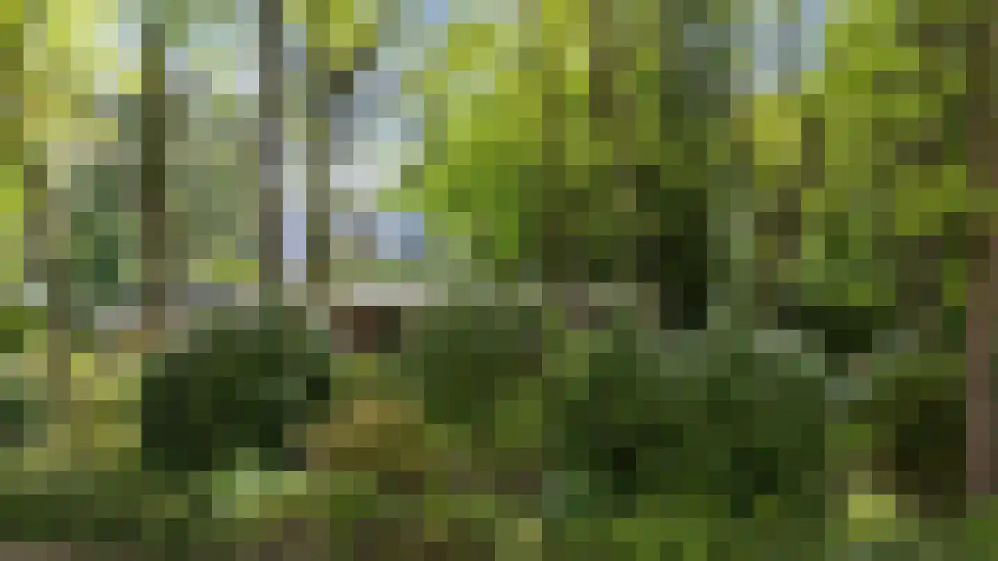 Vossepad 13 Emmen thumbnail 58