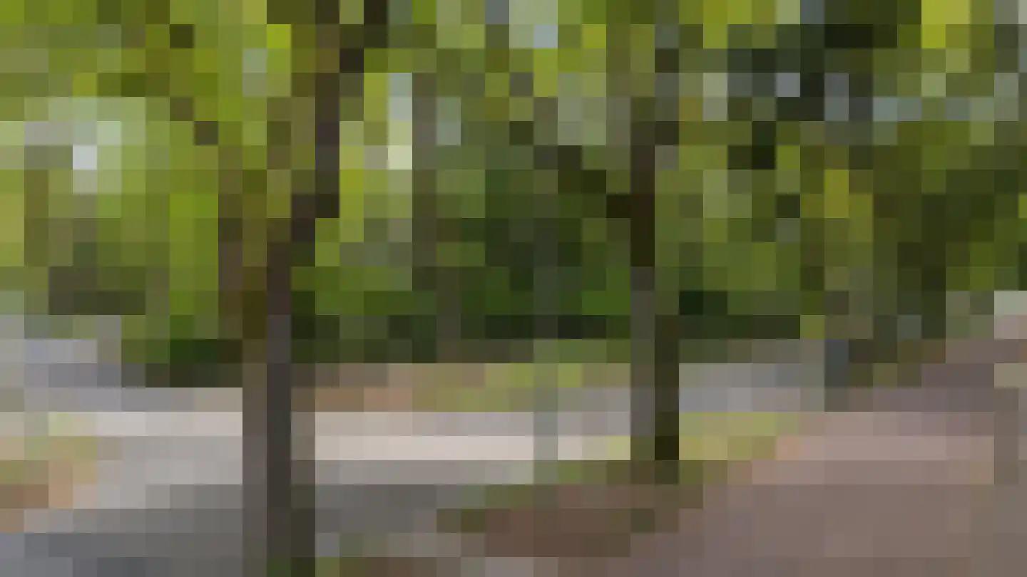 Vossepad 13 Emmen thumbnail 59