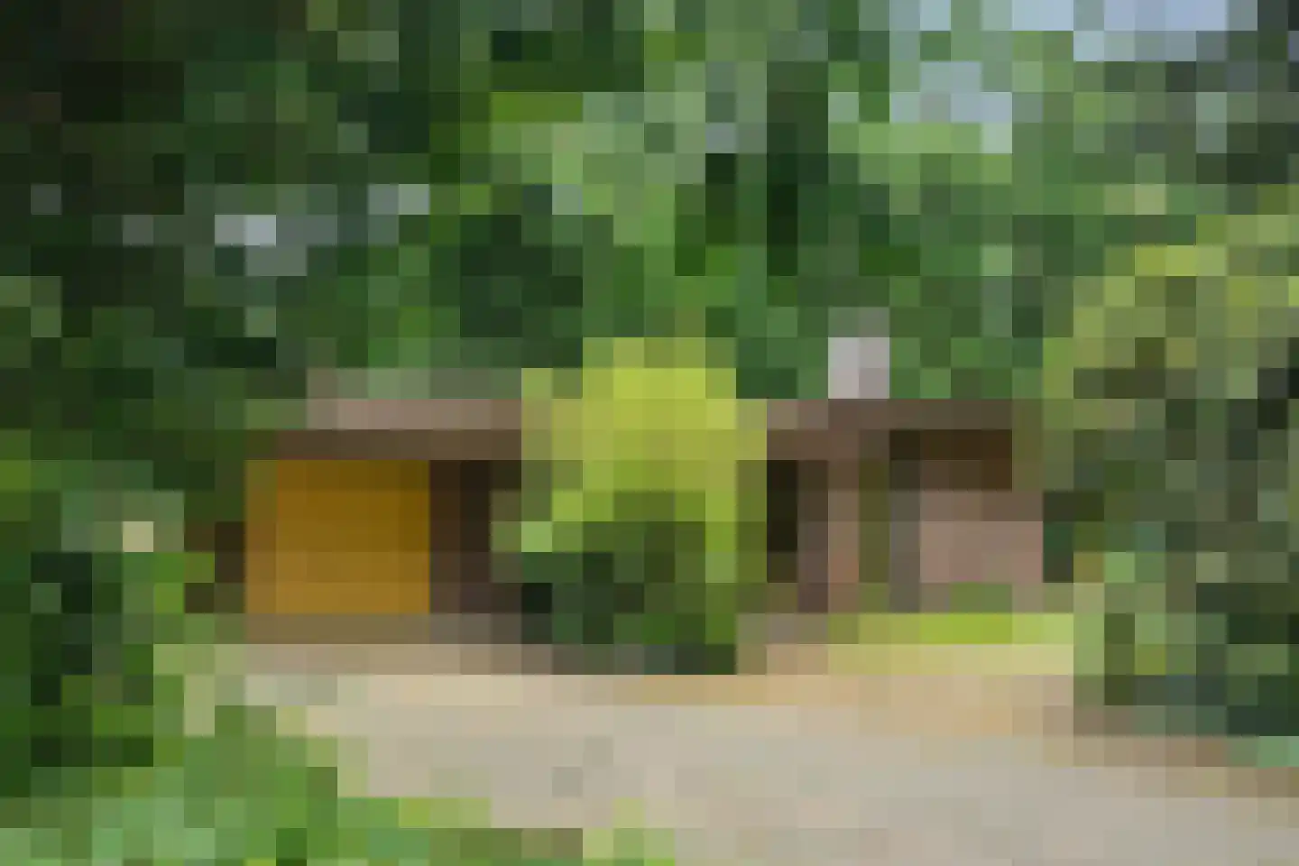 Vossepad 14 Emmen thumbnail 12