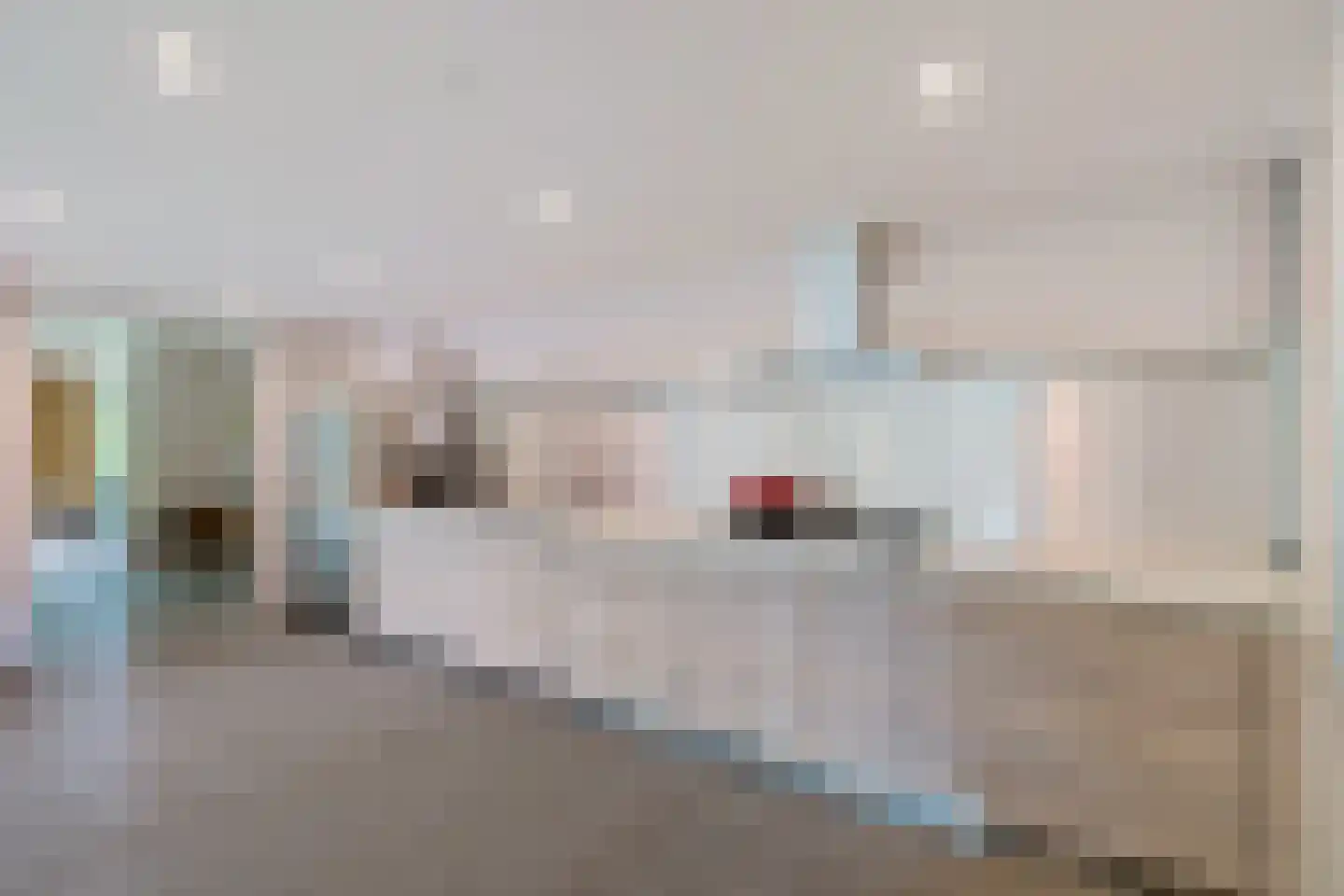 Vossepad 14 Emmen thumbnail 21