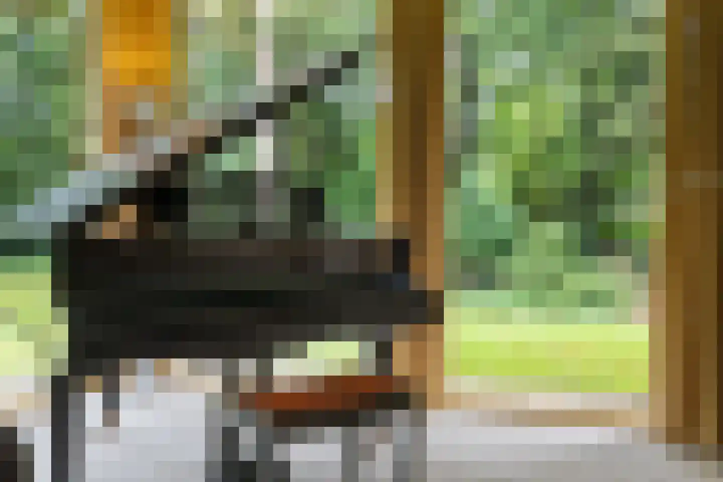Vossepad 14 Emmen thumbnail 25