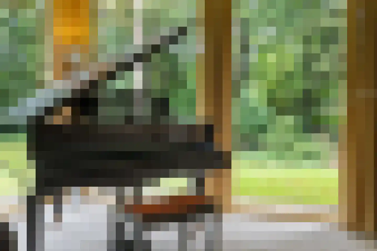Vossepad 14 Emmen thumbnail 25