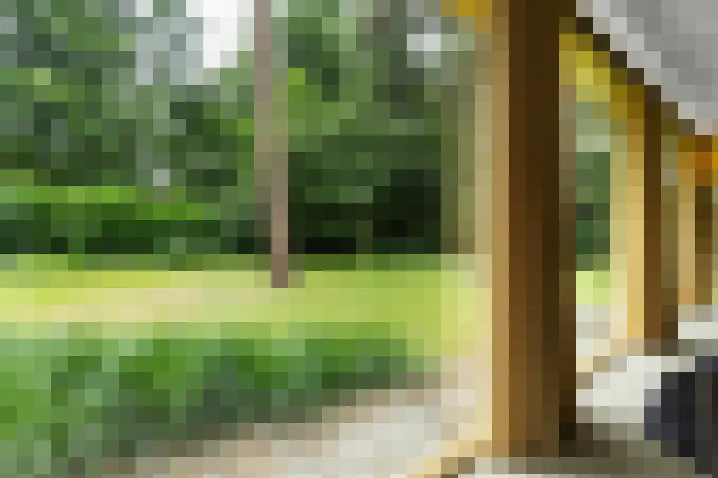 Vossepad 14 Emmen thumbnail 28