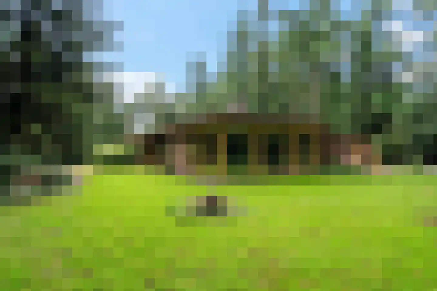 Vossepad 14 Emmen thumbnail 29
