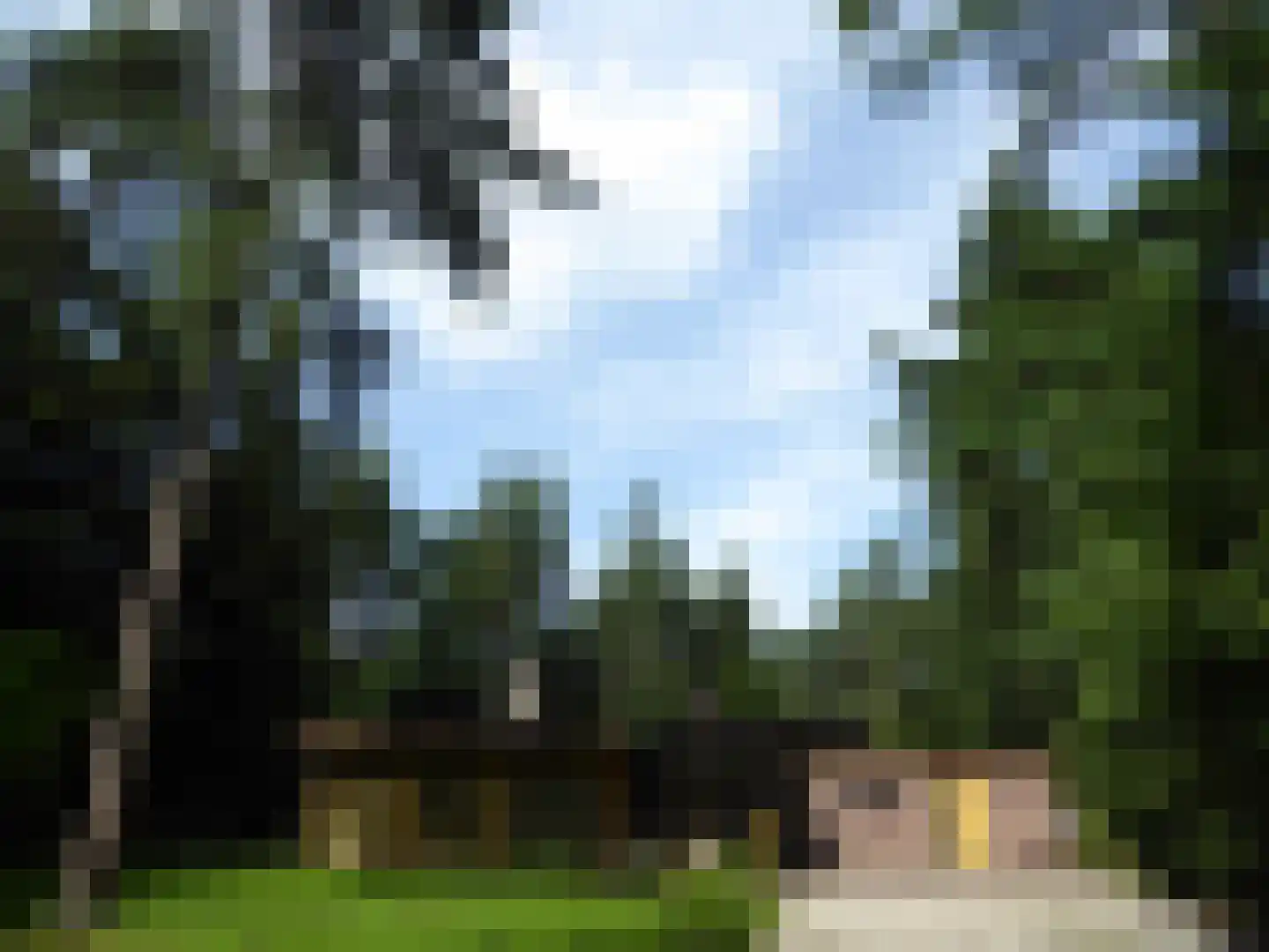 Vossepad 14 Emmen thumbnail 31
