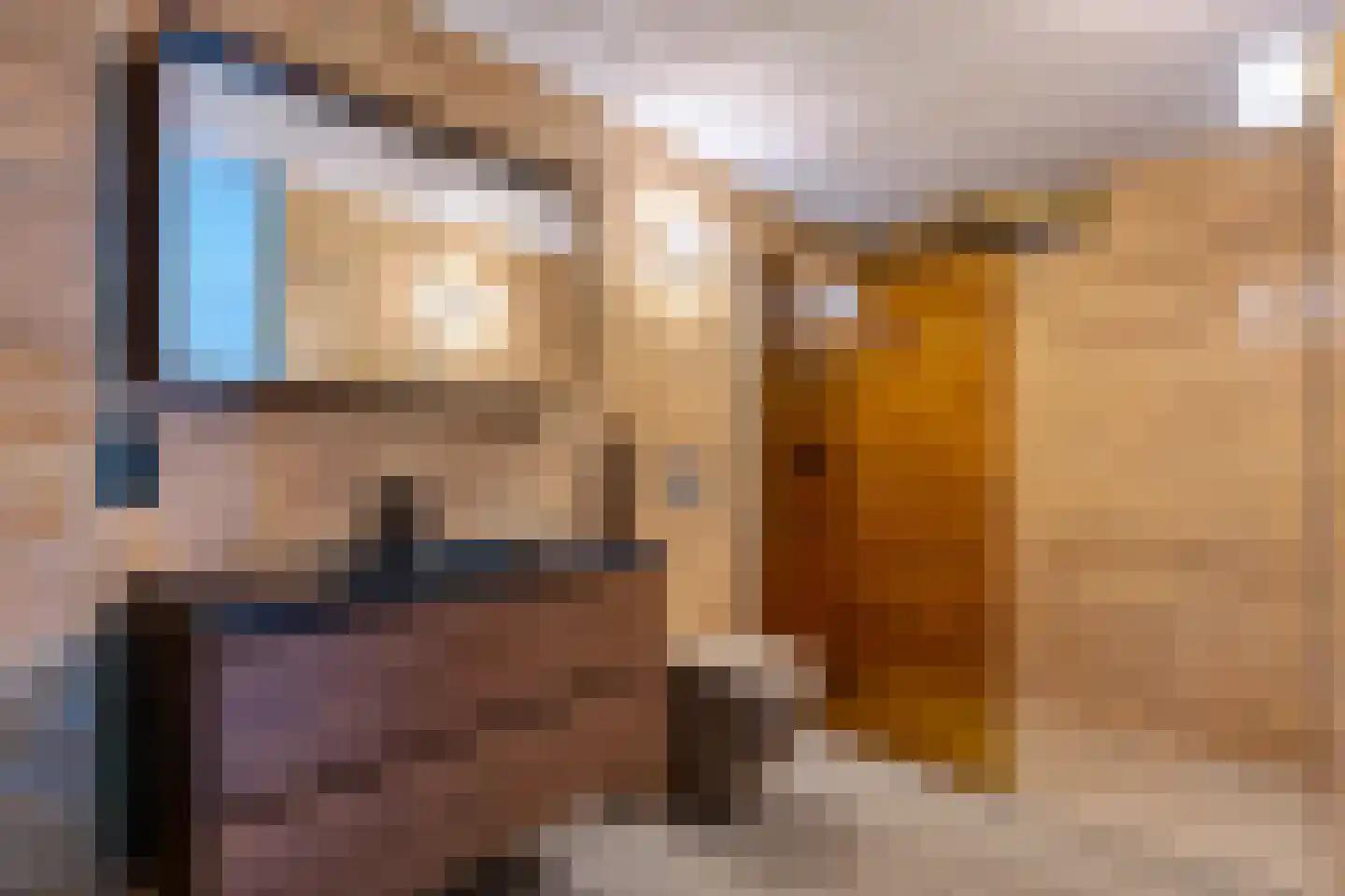 Vossepad 14 Emmen thumbnail 4