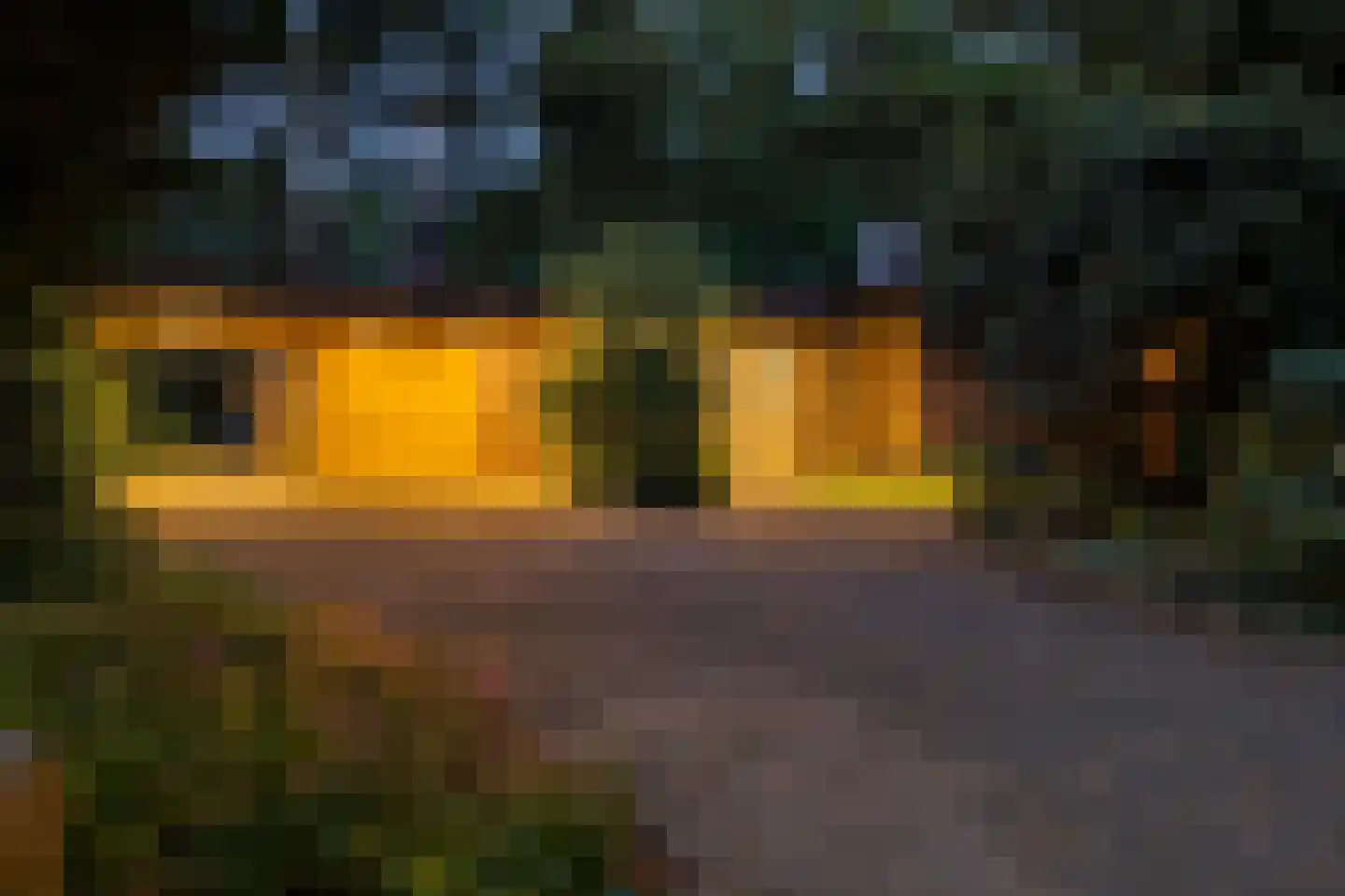 Vossepad 14 Emmen thumbnail 4