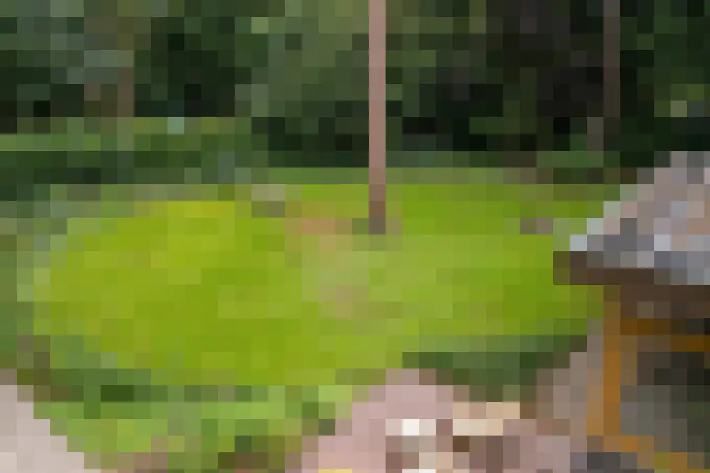 Vossepad 14 Emmen thumbnail 43