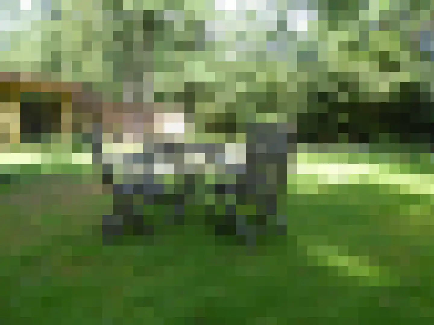 Vossepad 14 Emmen thumbnail 44