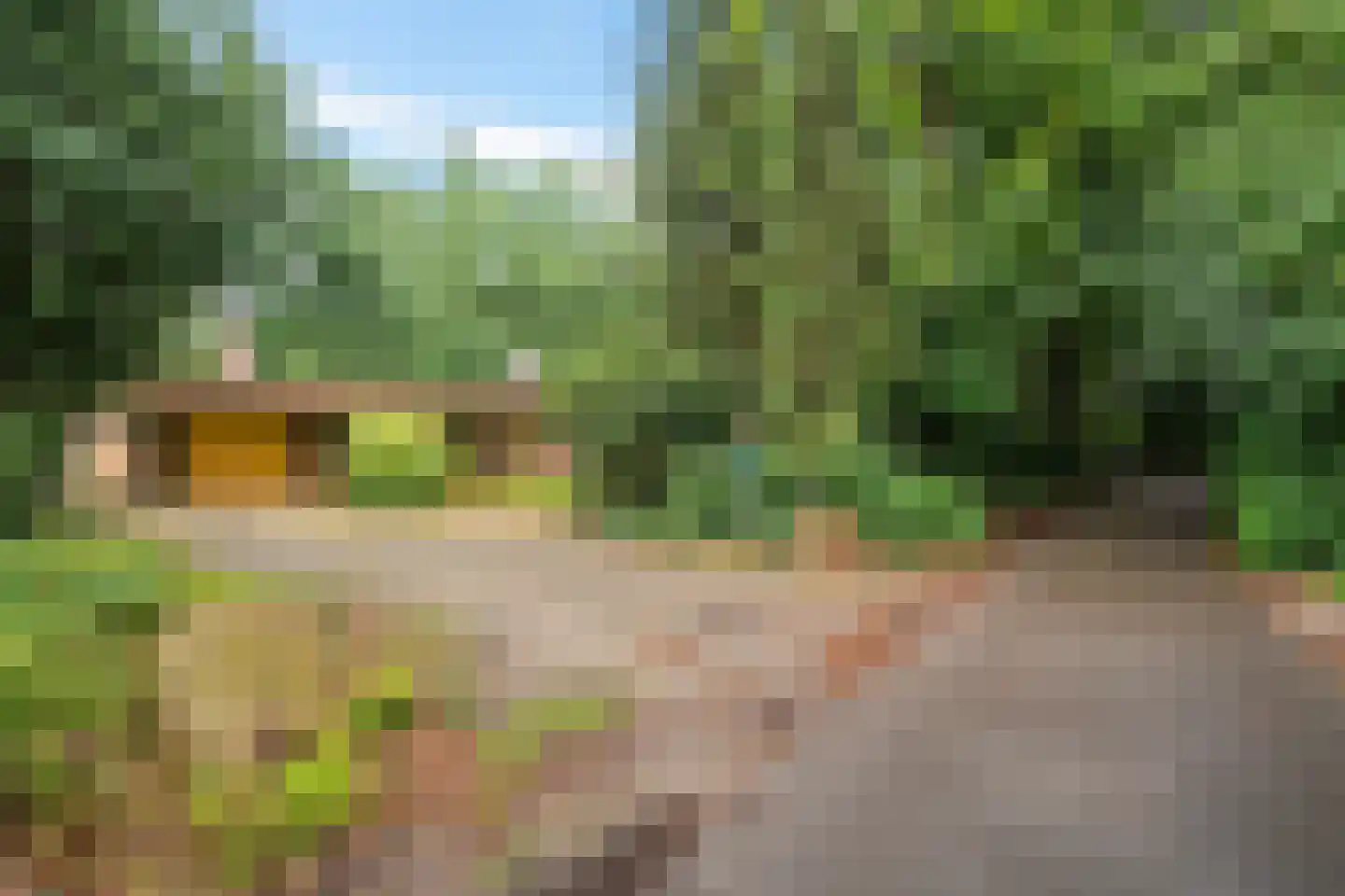 Vossepad 14 Emmen thumbnail 5