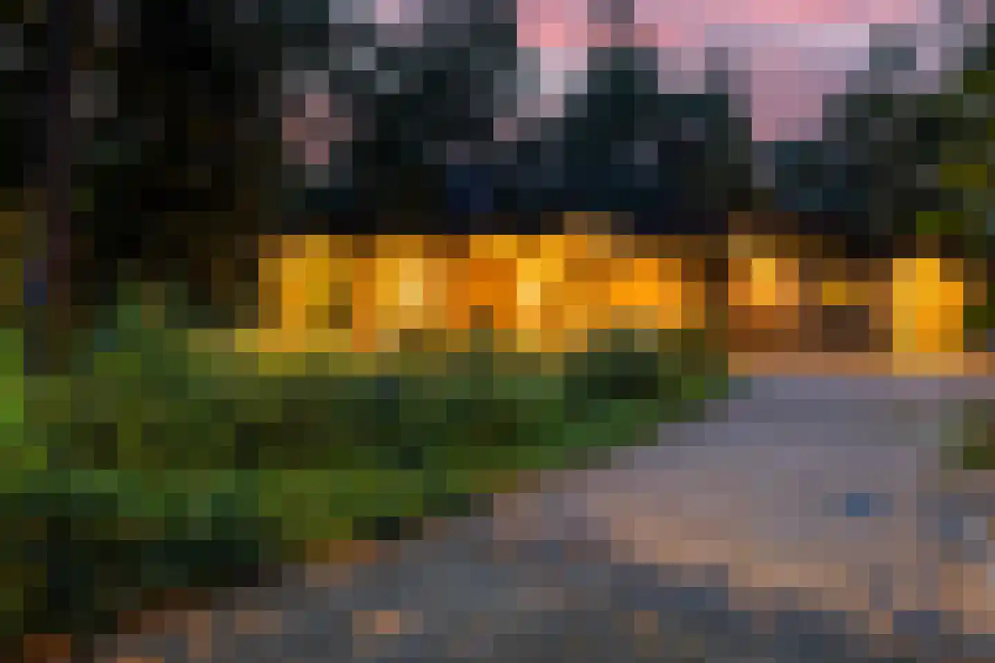 Vossepad 14 Emmen thumbnail 5