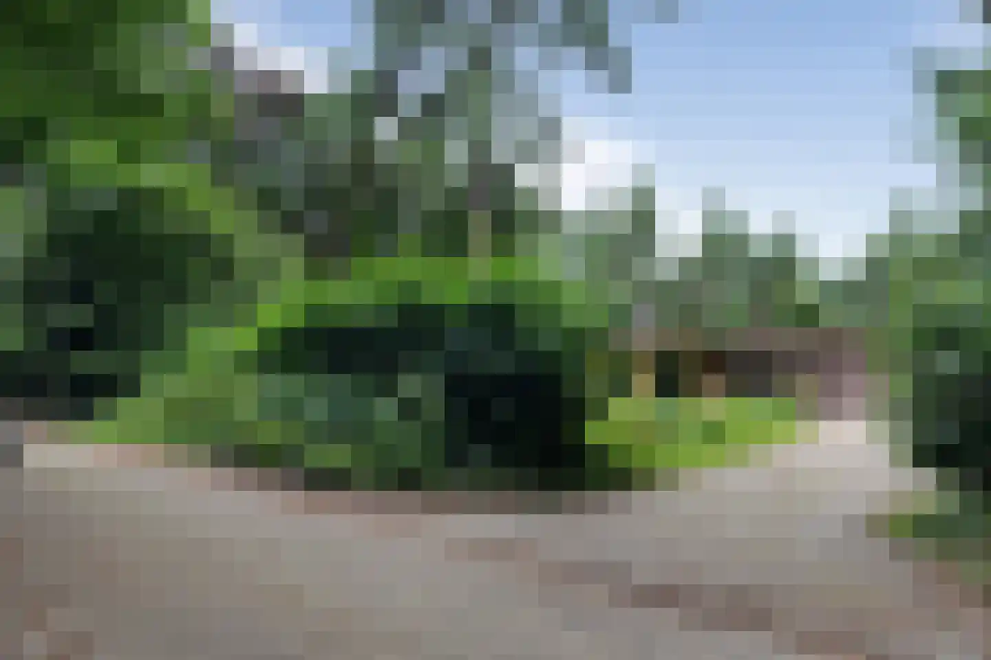 Vossepad 14 Emmen thumbnail 59