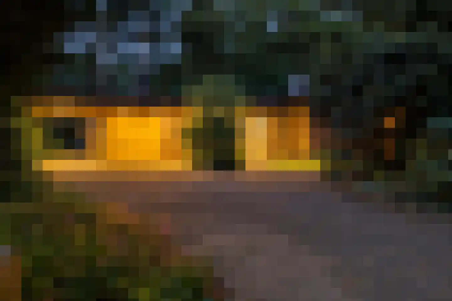 Vossepad 14 Emmen thumbnail 6