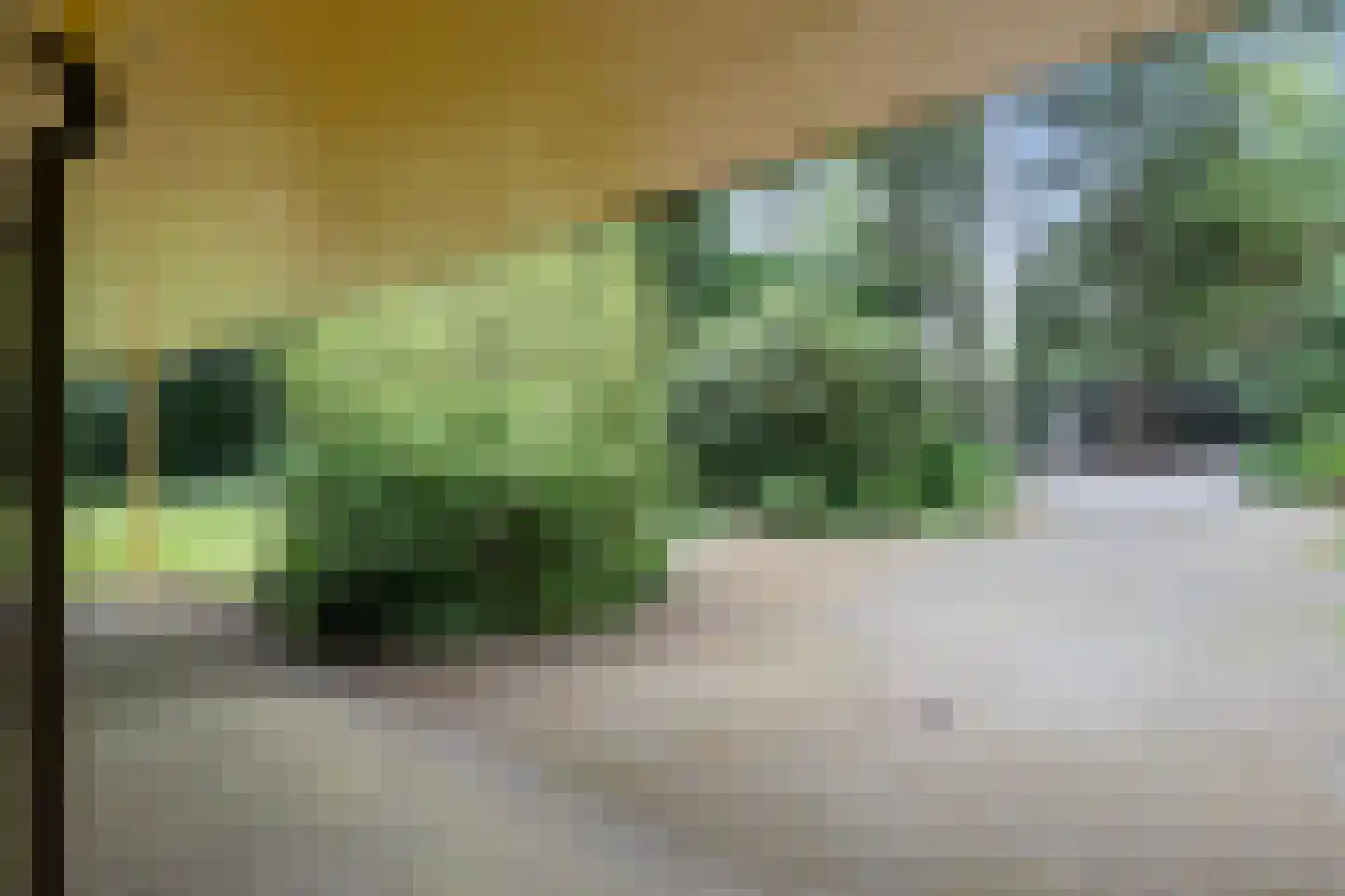 Vossepad 14 Emmen thumbnail 69