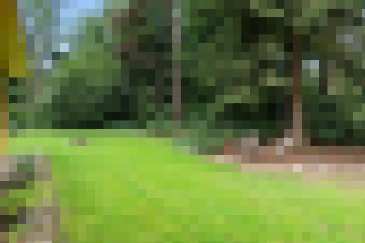 Vossepad 14 Emmen thumbnail 7