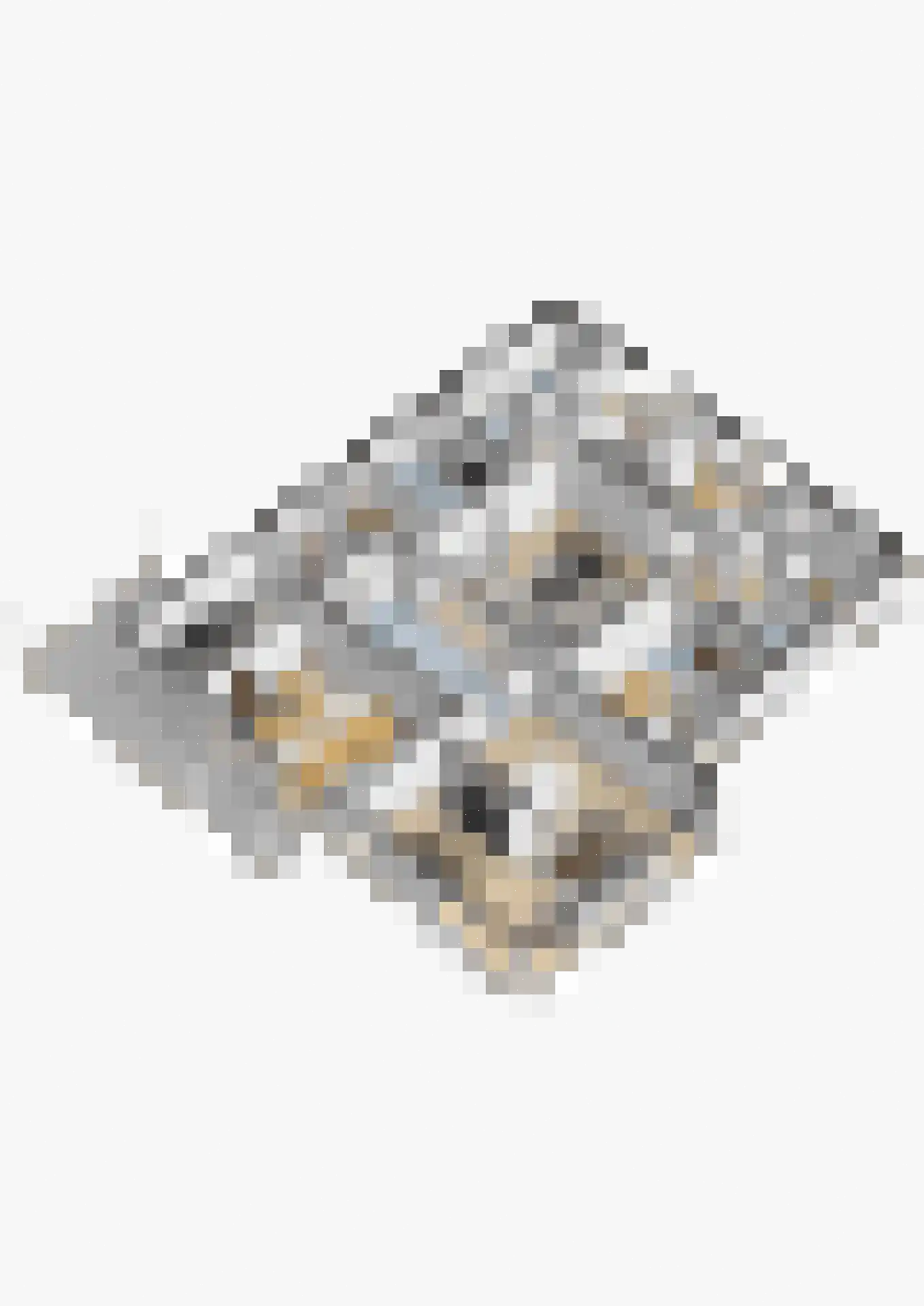 Vossepad 14 Emmen thumbnail 83