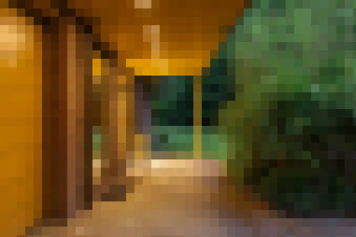 Vossepad 14 Emmen thumbnail 9