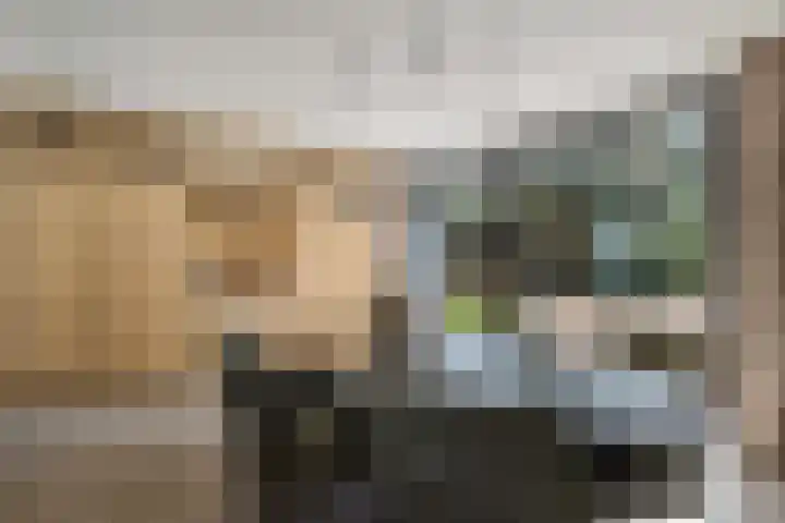 Vossepad 7 Emmen thumbnail 11