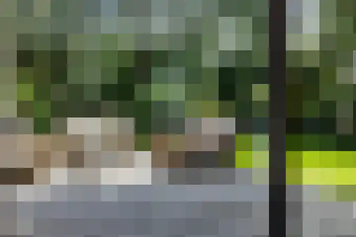 Vossepad 7 Emmen thumbnail 14