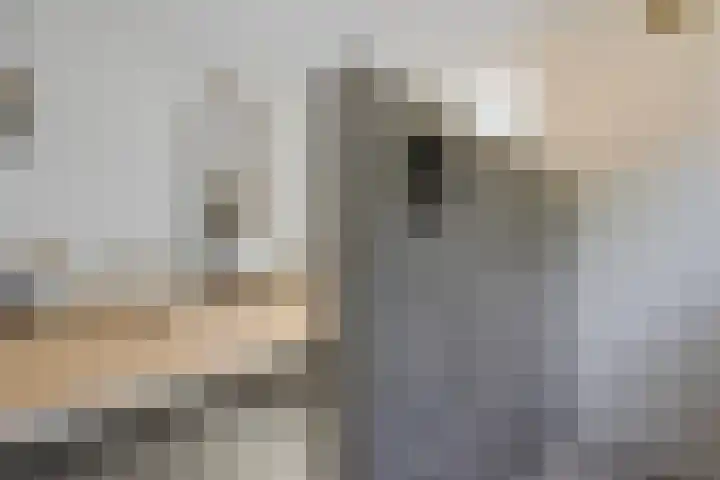 Vossepad 7 Emmen thumbnail 31