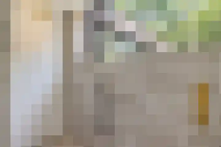 Vossepad 7 Emmen thumbnail 32