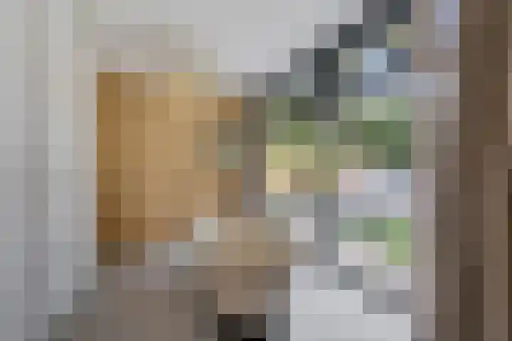 Vossepad 7 Emmen thumbnail 35