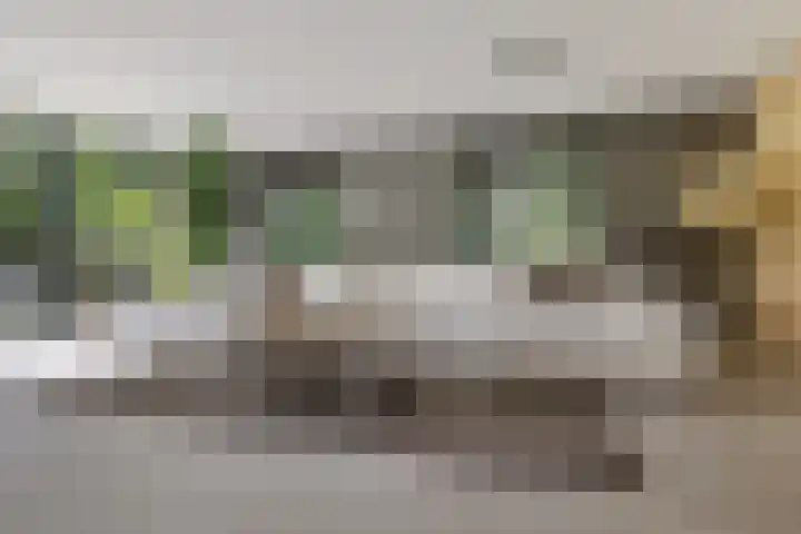Vossepad 7 Emmen thumbnail 4