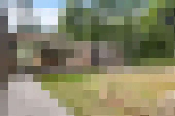 Vossepad 7 Emmen thumbnail 47