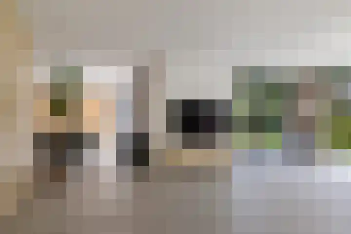 Vossepad 7 Emmen thumbnail 5