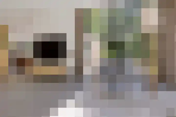 Vossepad 7 Emmen thumbnail 6