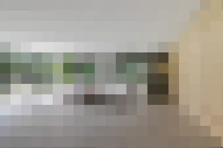 Vossepad 7 Emmen thumbnail 7