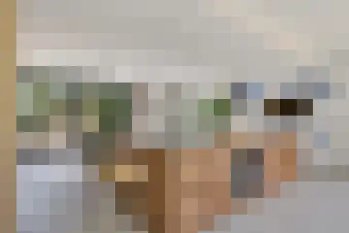 Vossepad 7 Emmen thumbnail 9