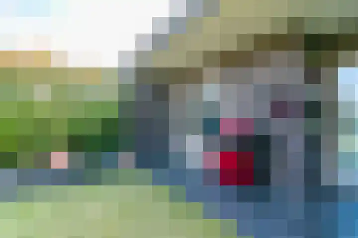 Vossepark 16 Heerlen thumbnail 20
