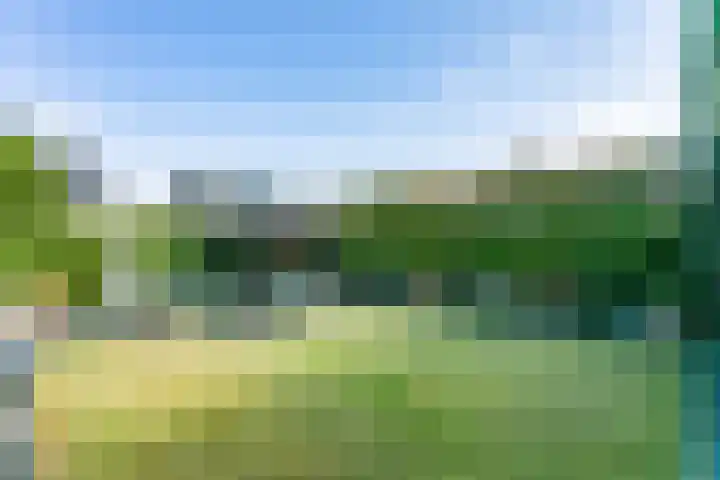 Vossepark 16 Heerlen thumbnail 23