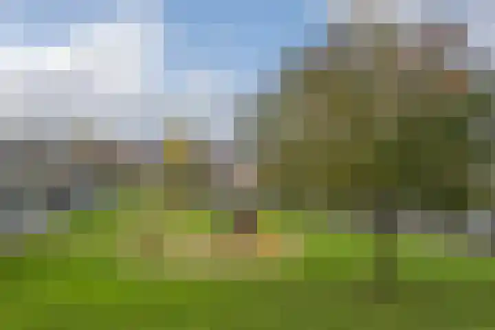 Vossepark 35 Heerlen thumbnail 19