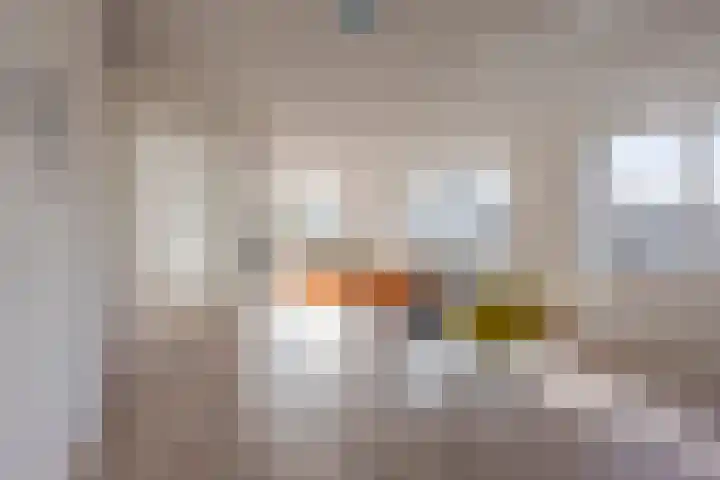 Vossepark 35 Heerlen thumbnail 5