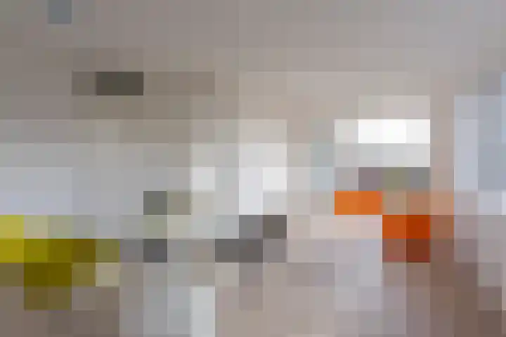 Vossepark 35 Heerlen thumbnail 9