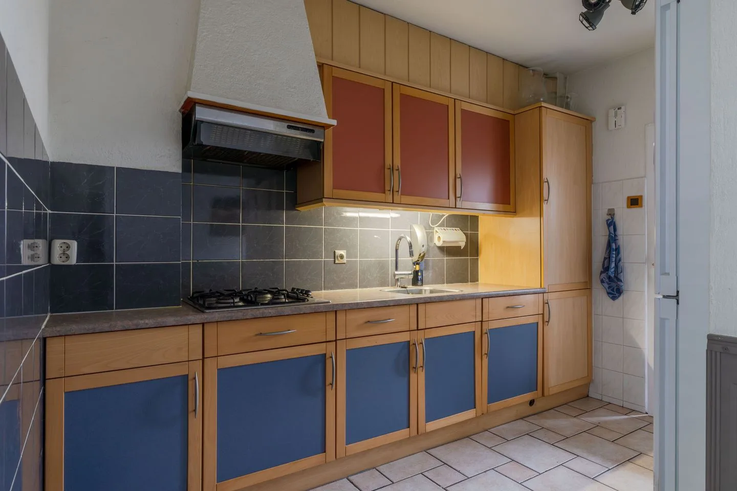 Vossepol 37 Surhuisterveen thumbnail 13
