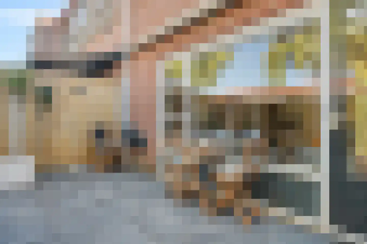 Vossermeer 6 Barendrecht thumbnail 37