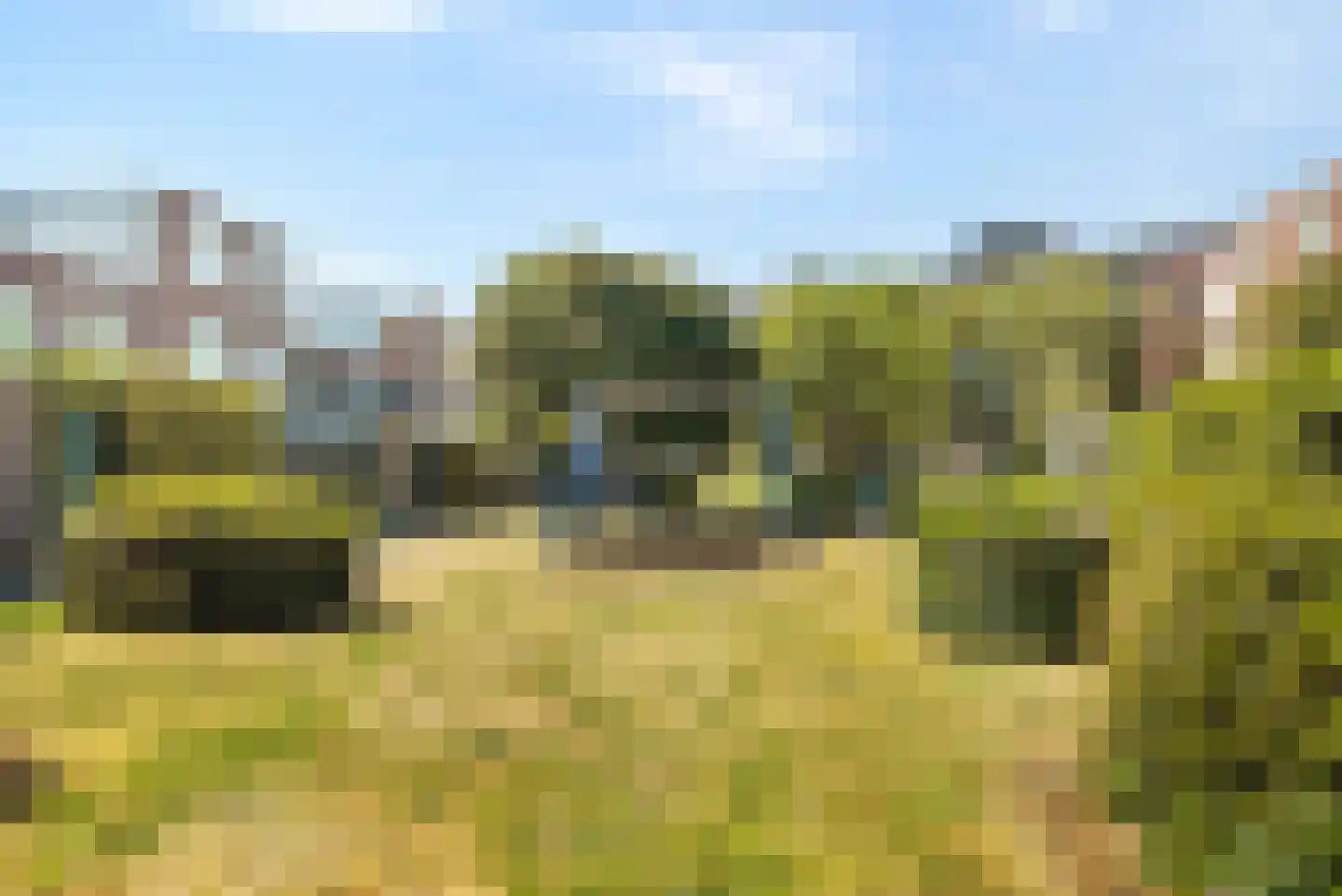 Vossermeer 6 Barendrecht thumbnail 39