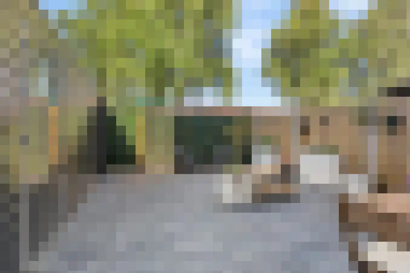 Vossermeer 6 Barendrecht thumbnail 5