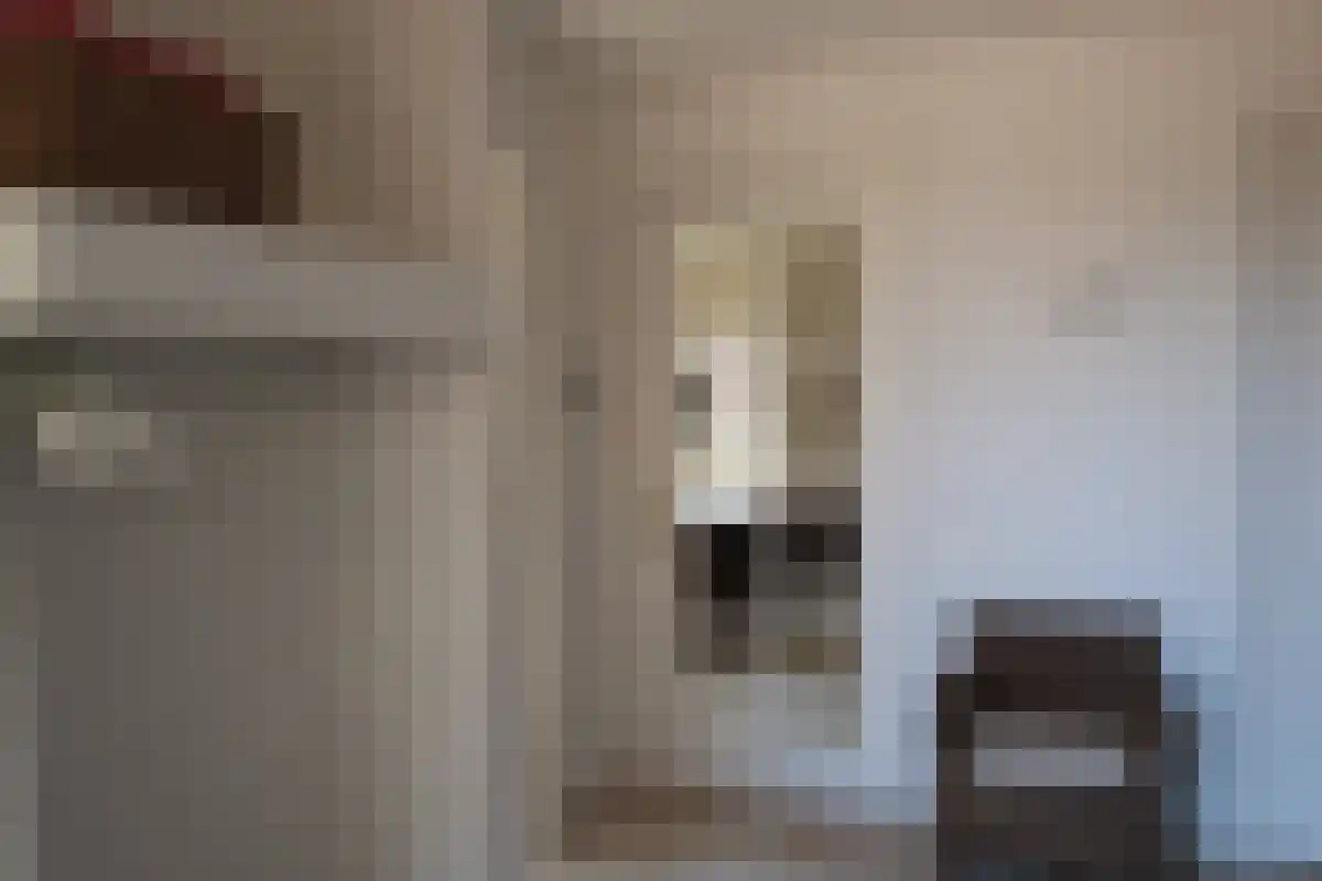 Vossersteeg 66 Dalfsen thumbnail 4