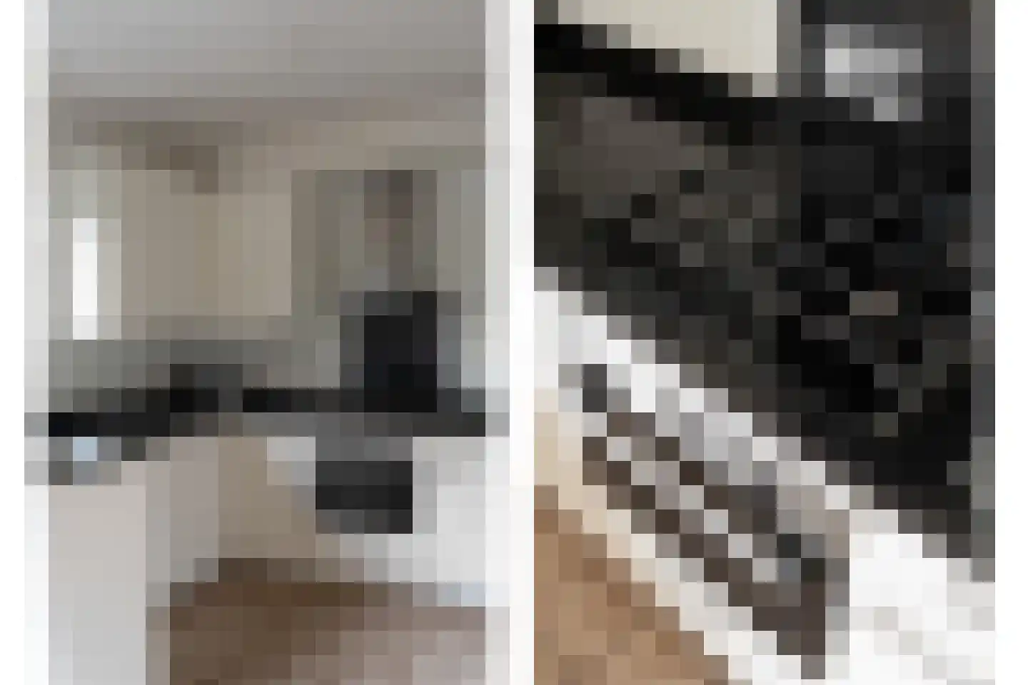 Vossestaart 14 Alblasserdam thumbnail 15